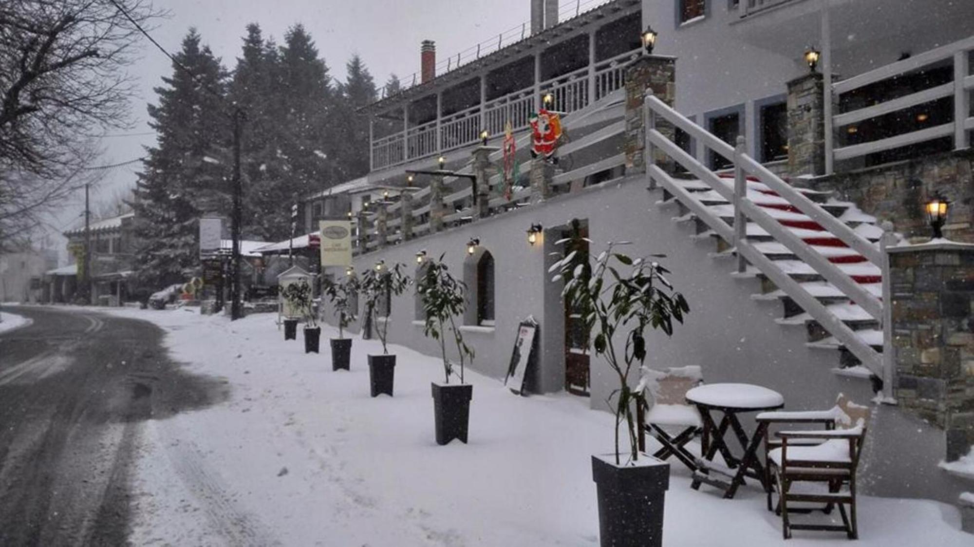อนามาร์ ปีลิโอ รีสอร์ต Hotel Pelion ภายนอก รูปภาพ